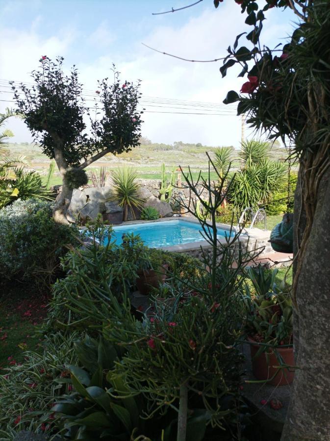Casa Do Platano Guest House Cinco Ribeiras Екстериор снимка